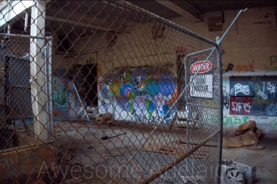 Urban Exploring The Cat Warehouse — Awesome Adelaide