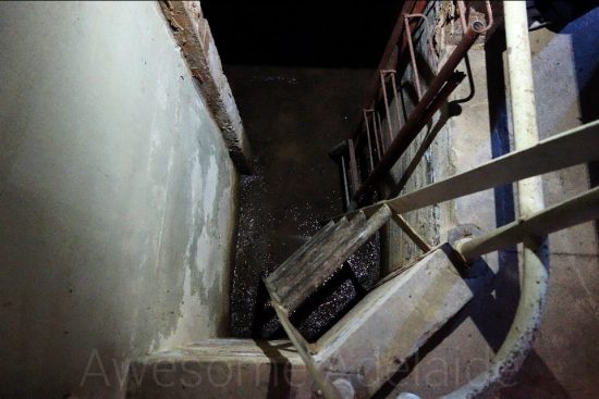 Urban Exploring Mt Barker Junction Station — Awesome Adelaide
